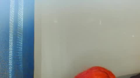 Exoticlexxii online show from October 2, 3:22 pm