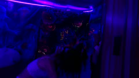 fairy_moan online show from April 21, 7:48 am