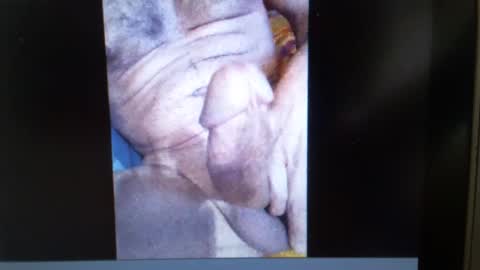 falushp online show from January 23, 9:50 am