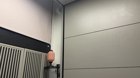 Gattino online show from February 9, 12:49 am