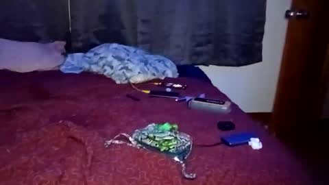 feetandmeat420 online show from October 29, 9:33 am