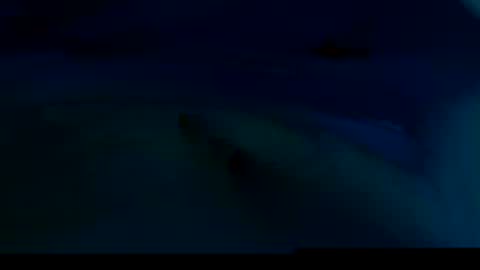 felixske online show from September 12, 1:02 pm