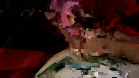 fishbone419_steel online show from March 23, 8:30 am