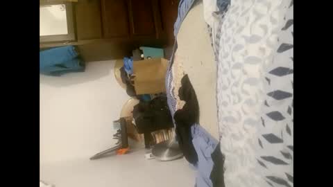 flexngudlit online show from March 13, 7:17 pm