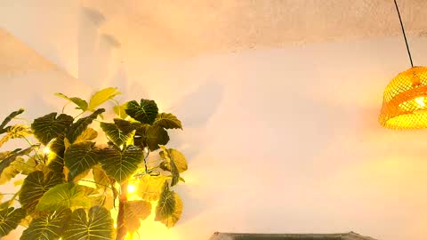  FLUFFY BUBBLE  online show from April 30, 4:17 am