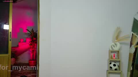 for mycami online show from June 19, 9:15 am