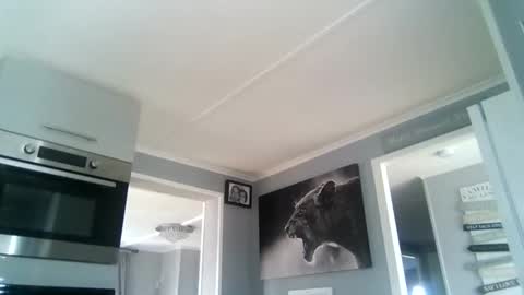 bob online show from October 22, 12:29 pm