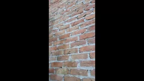 Fuckerrkapil online show from January 7, 7:46 am