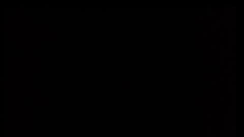 Bruchus online show from November 26, 9:50 am