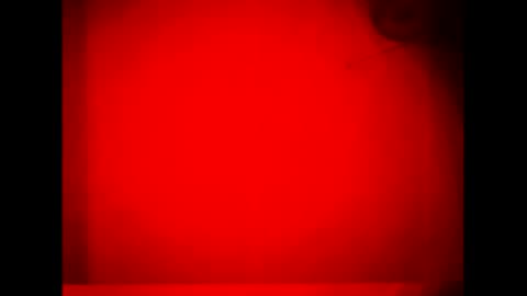 Snapshot of fucmebudoo chatting on September 16, 11:45 am Warwick online show from September 16, 11:45 am