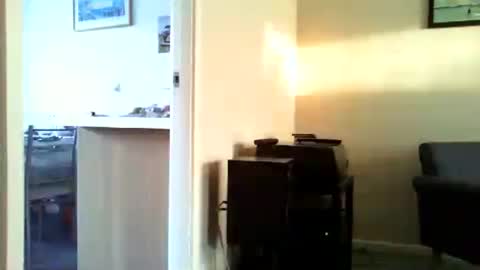 Funslimguy online show from July 23, 7:22 pm