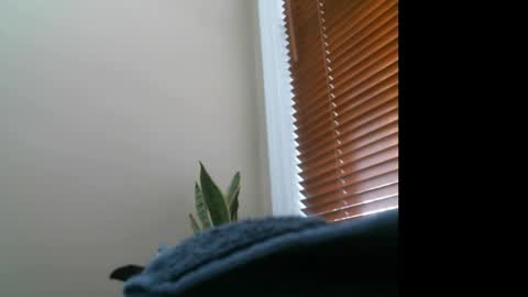 Lisa online show from December 27, 7:14 pm