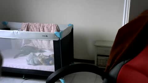 Gisse online show from February 24, 7:55 am