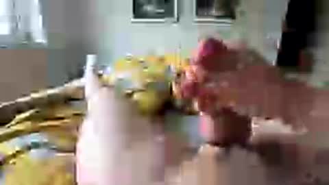 giertje3 online show from June 17, 6:46 pm