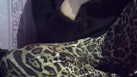 gigabitspark online show from March 24, 11:22 pm