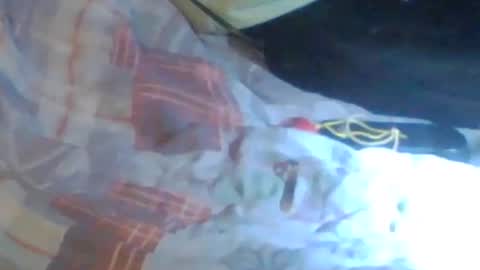 Snapshot of girlscallme666 chatting on October 24, 2:34 am lovegirlscallme online show from October 24, 2:34 am