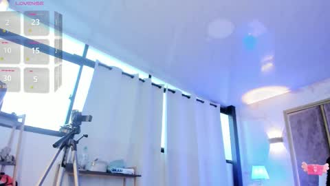     online show from February 24, 1:47 pm