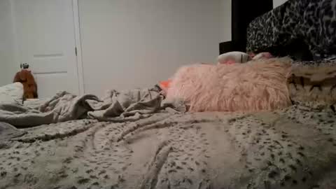 glorialove777 online show from July 1, 3:04 am