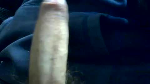 PencilDick online show from August 2, 8:38 am