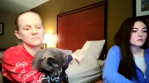 feyaa22 online show from October 6, 4:41 am