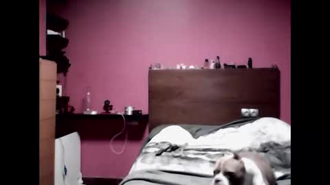 gonzalo online show from March 23, 12:26 am