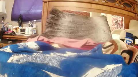 Juicy Booty online show from February 23, 2:46 pm