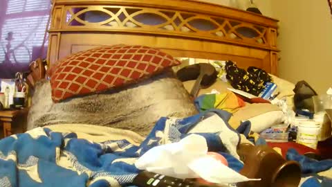 Juicy Booty online show from January 18, 6:53 pm