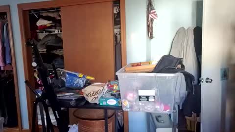 goodgirlcelestecat online show from November 14, 4:42 pm