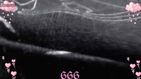        online show from February 11, 8:18 am