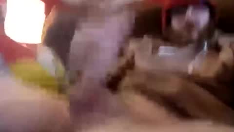 greenbastard78 online show from November 19, 3:44 pm