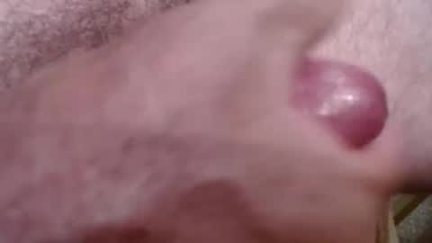 Greg online show from November 1, 1:32 pm