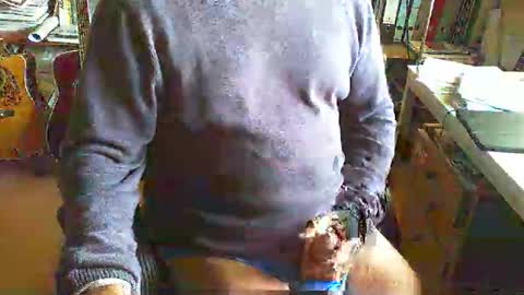 greyhounddog online show from March 22, 9:57 am