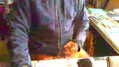 greyhounddog online show from June 11, 8:34 am