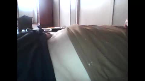 guizmeau72 online show from November 1, 3:11 pm