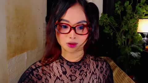 haily online show from November 16, 2:35 am