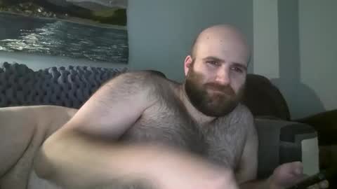 Hairiest Bear online show from January 14, 3:47 pm