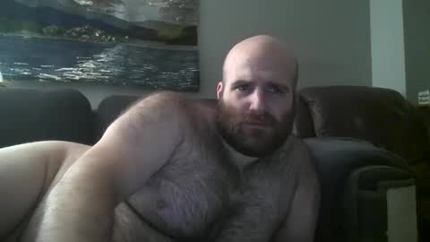 Hairiest Bear online show from January 30, 9:04 am