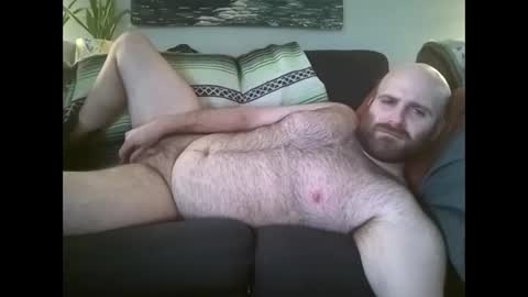 Hairiest Bear online show from March 11, 3:37 pm