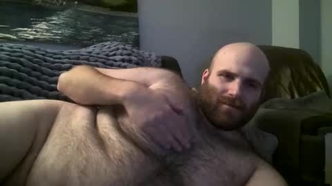 Hairiest Bear online show from January 17, 7:41 am