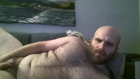 Hairiest Bear online show from December 23, 11:36 am