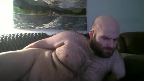 Hairiest Bear online show from January 15, 3:11 am
