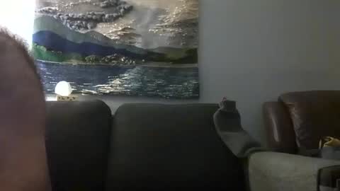 Hairiest Bear online show from February 1, 7:47 am