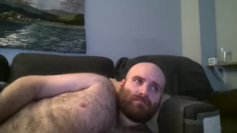 Hairiest Bear online show from January 21, 4:54 am