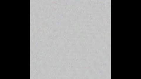 Snapshot of hairy_tyler666 chatting on October 19, 3:38 pm Hairy Tyler online show from October 19, 3:38 pm