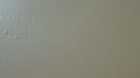 hamhead71 online show from February 4, 9:52 pm