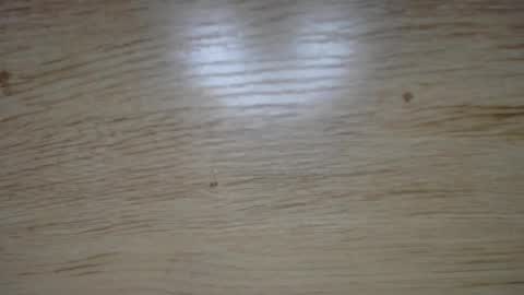 happy_pussy_fun online show from April 29, 2:38 am