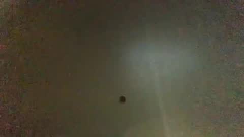 For You online show from January 26, 2:56 am