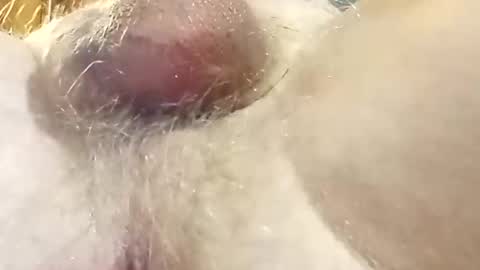 Snapshot of hcross2448 chatting on February 22, 3:01 am hcross2448 online show from February 22, 3:01 am