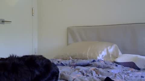 heatwavee online show from December 7, 4:20 pm