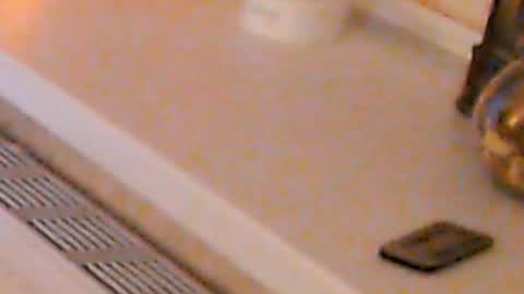 Heaven girl online show from January 4, 2:14 am